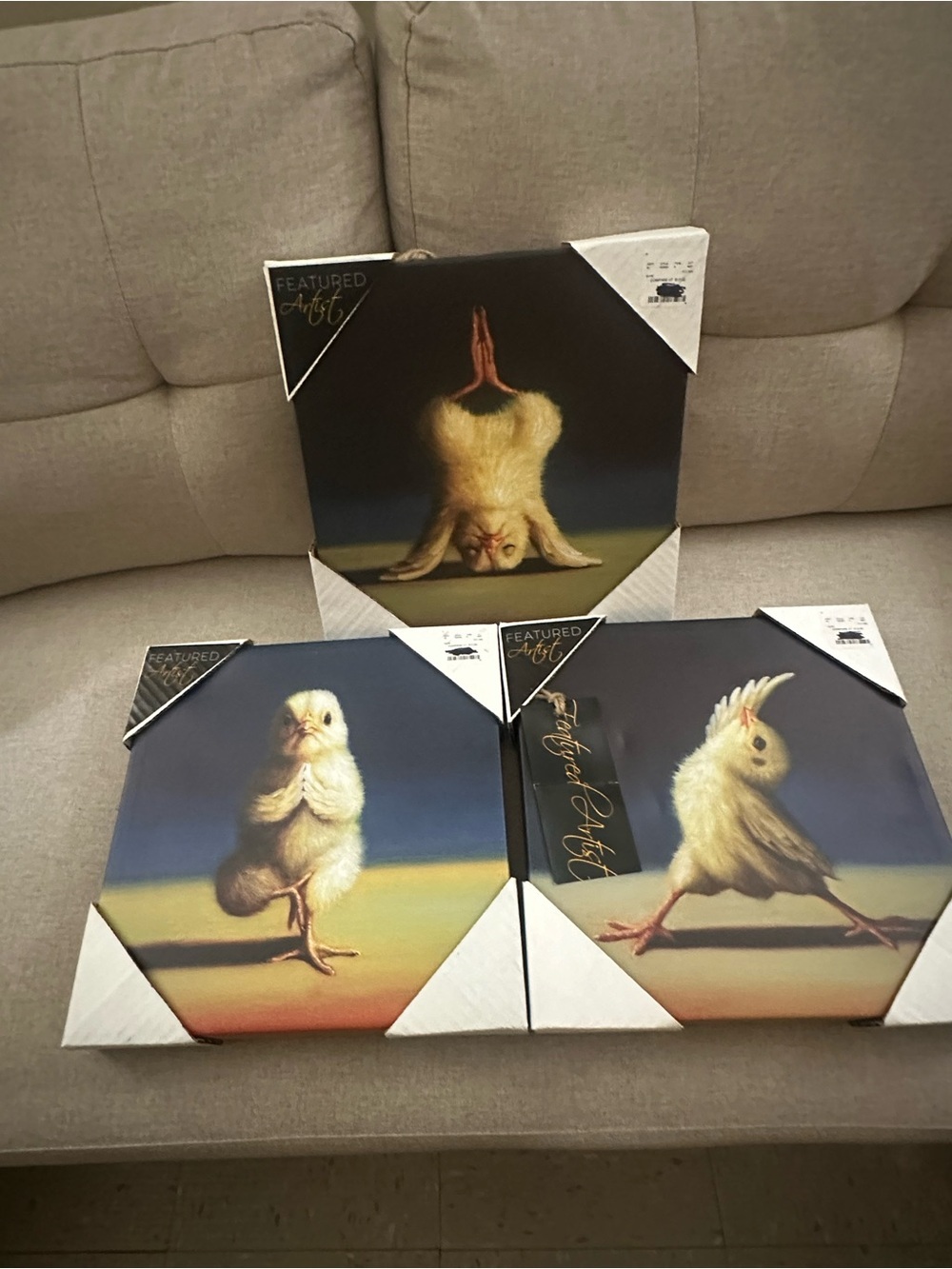 Yoga Chick Trio Funny Frame